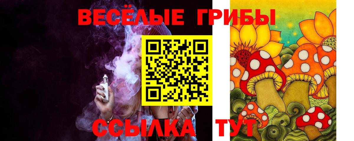 Псилоцибиновые грибы GOLDEN TEACHER Щёкино