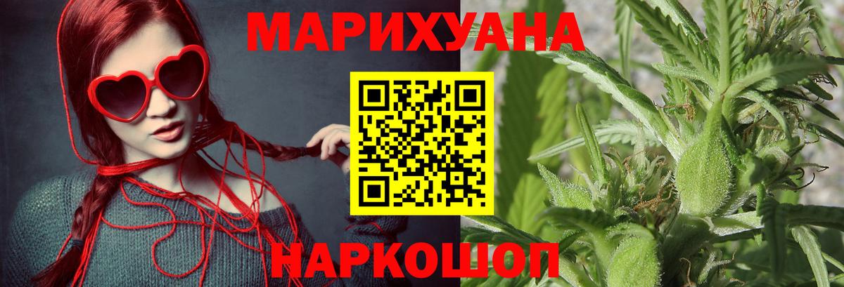 Конопля индика Щёкино